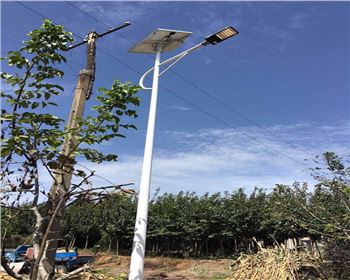 陜西西安藍田縣竹峪鎮(zhèn)新農(nóng)村太陽能路燈