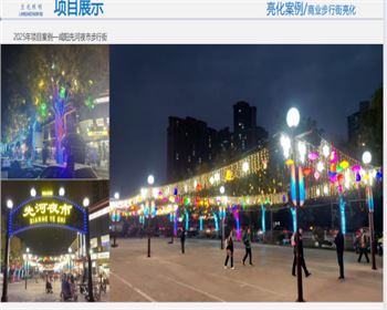 咸陽先河夜市步行街